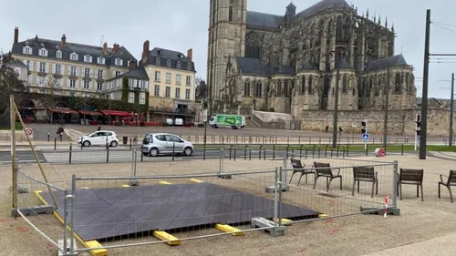 Le Mans : un ginkgo biloba bientôt de retour dans le secteur de la...
